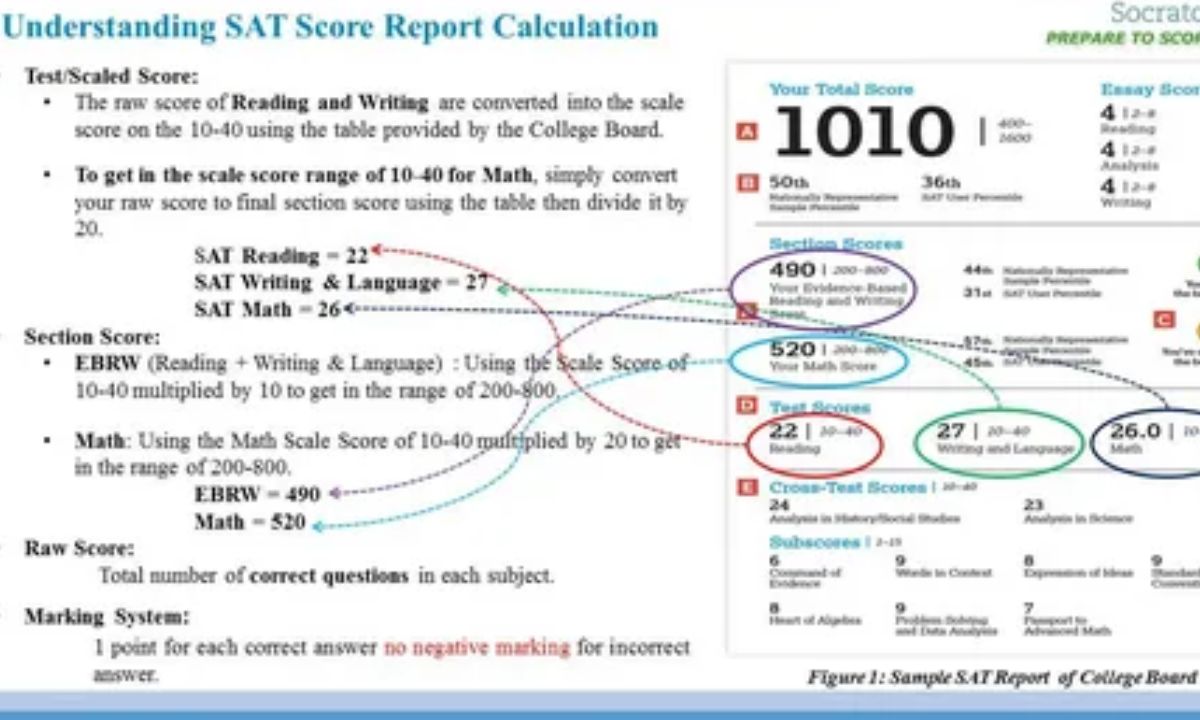 Page Count