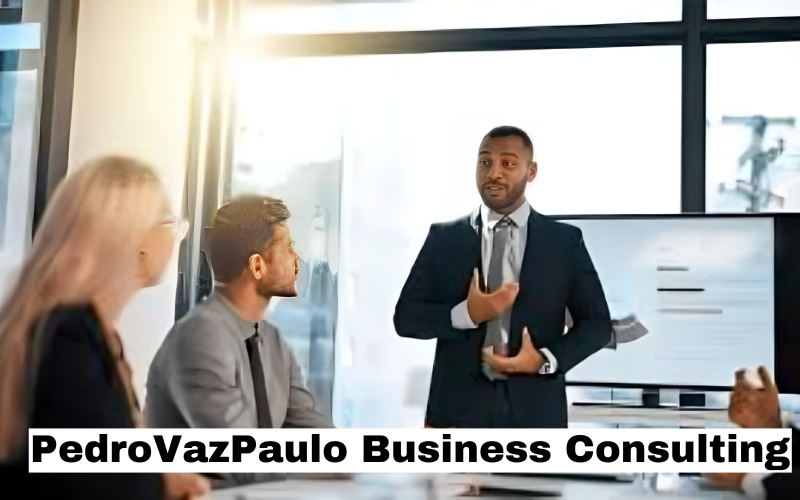 Pedrovazpaulo Business Consultant